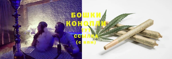 гашик Новодвинск