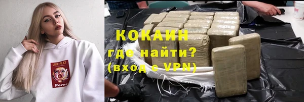 гашик Новодвинск