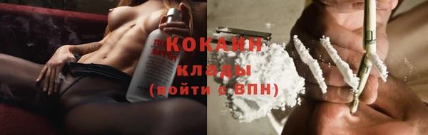гашик Новодвинск