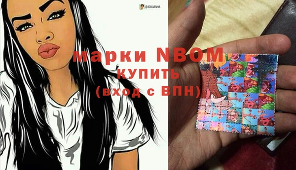 гашик Новодвинск