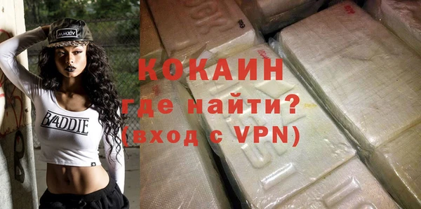 гашик Новодвинск