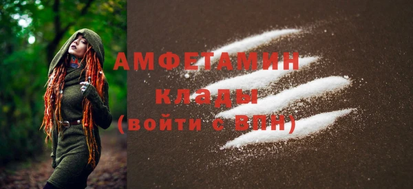 гашик Новодвинск