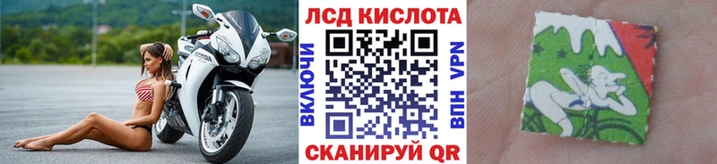 blacksprut   купить наркотик  Новокузнецк  Наркотические марки 1500мкг 