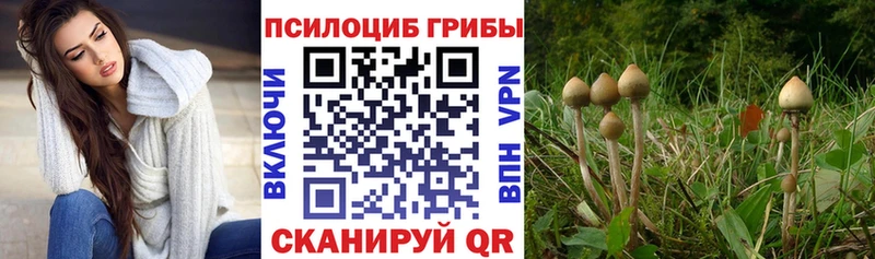Галлюциногенные грибы прущие грибы где продают Новокузнецк